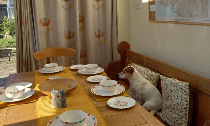 Melplash Cottage | Nestled in the Dorset countryside - 10 minutes from the beach