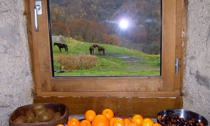 Bagneres-de-Bigorre House | Experience Tranquility in the Foothills of Hautes-Pyrenees
