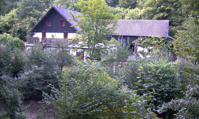 Lutzerath Apartment | Neumühle Ferienwohnung 2: Pet Friendly Retreat with Spa