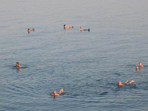 Neve Zohar Apartment | Pet-Friendly Retreat at Neve Zohar Dead Sea