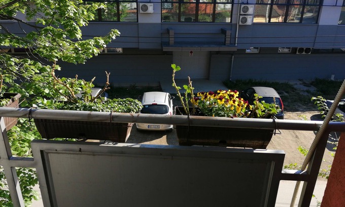 Sremski Karlovci Apartment | Serene Apartment with Ocean View Near City Center