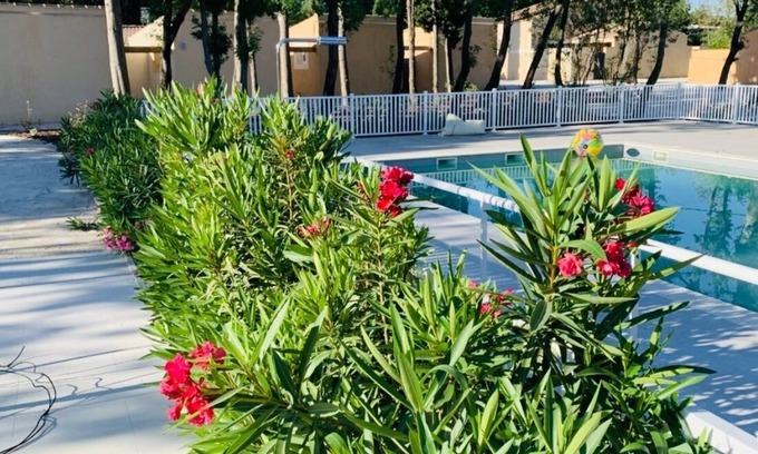 St.-Remy-de-Provence House | Discover the Bastidon des Alpilles: 9.6 Rated Retreat
