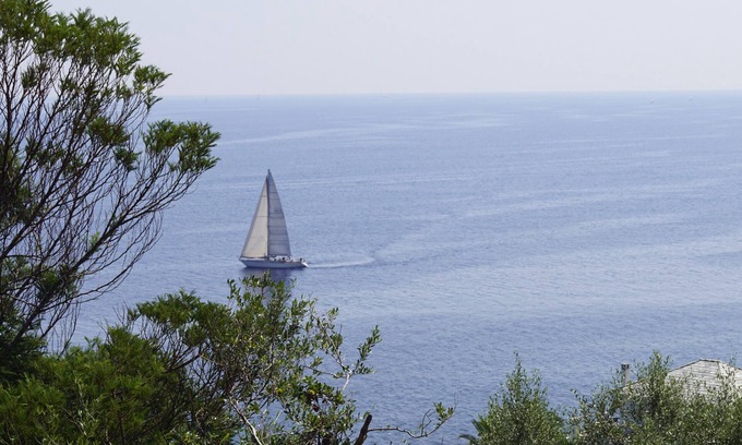 San-Martino-di-Lota Apartment | Sea View Apartment Cap Corse: 2 Min to the Beach, Rated 9.8