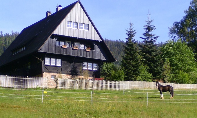 Forbach Apartment | Idyllic Eulennest Apartment with Lake View & Spa Amenities