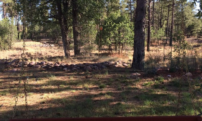 Clay Springs Apartment | Artistic Studio Retreat: Quiet Escape by National Forest