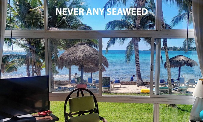 Akumal Condo | Beachfront Condo with Pool & 9.8/10 Guest Ratings!
