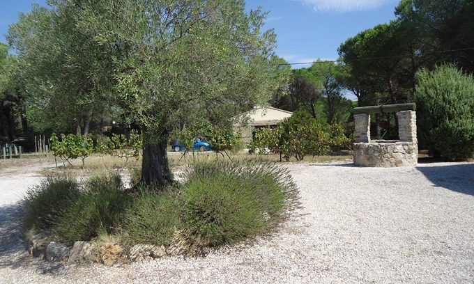 Roquebrune-sur-Argens House | Cozy Retreat in Pine Forest with Semi-Private Pool