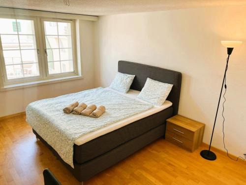 Old Town Apartment | New Cozy 2 room Apartment in Zurich Old Town Center RENN - Self Checkin