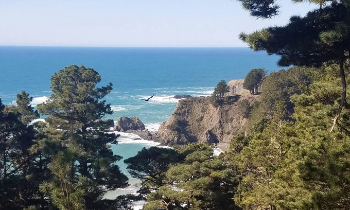 Albion House | Discover Breathtaking Ocean Views with Family-Friendly Amenities