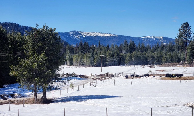 Priest River Other | NEW! Farmhouse in the Panhandle National Forest. Come experience calving season!