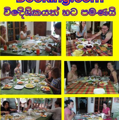 Polonnaruwa Hotel | New Gama Guest: Pet-Friendly Stay with Perfect Reviews