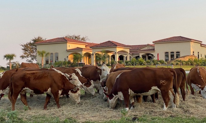 Hempstead Other | Experience the NEW Hacienda Ranch with Resort-Style Pool