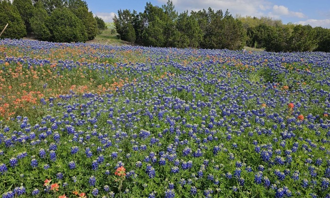 Dripping Springs House | Relaxing Retreat in Dripping Springs with Spa & Jacuzzi