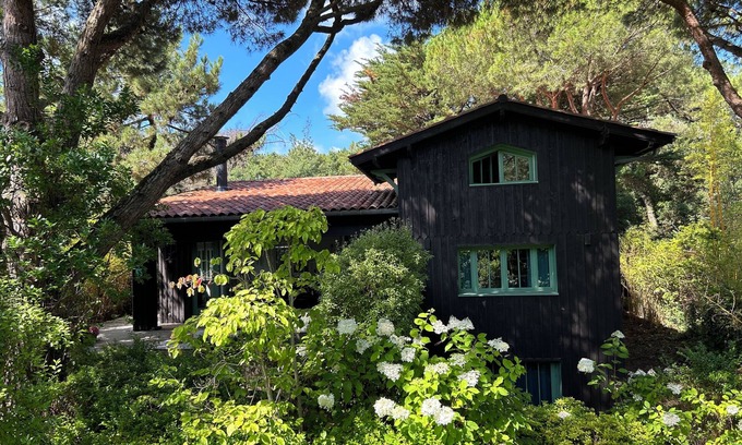 Cap-Ferret Villa | Cozy Retreat at Cap Ferret with Pool and Oceanfront Views
