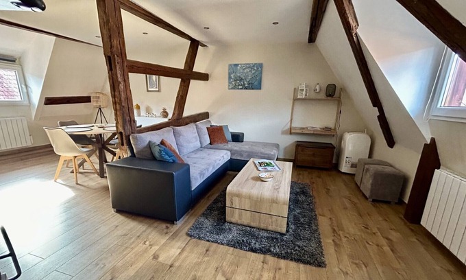 Eguisheim Apartment | Discover Les Toits du Rempart in Beautiful Eguisheim