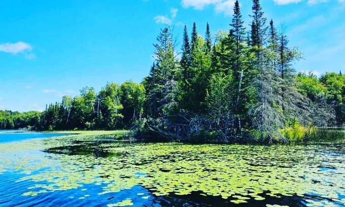 Marcell Cabin | Relaxing Lakeside Cabin with Pool & Ocean Views