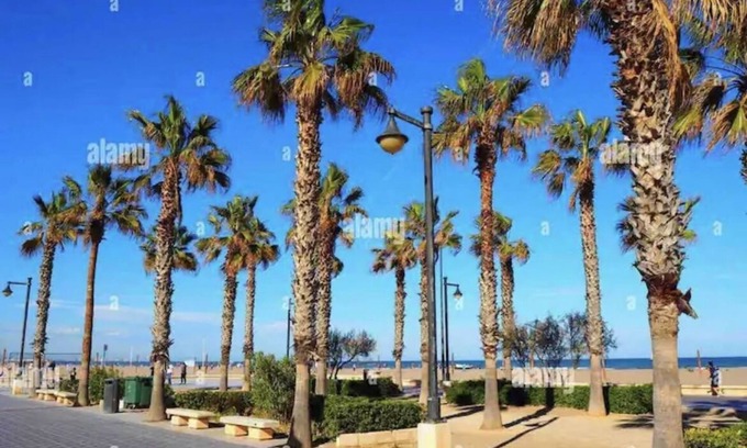 El Cabanyal Apartment | Modern Penthouse Near Beach with Spa and Pet-Friendly Amenities