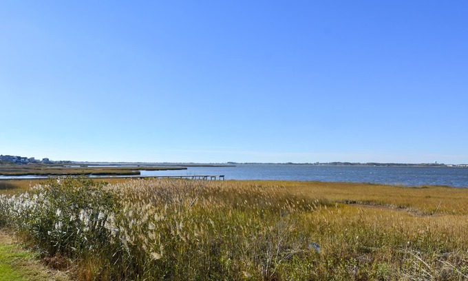Fenwick Island House | Bright Bay Retreat: Poolside Relaxation & Beach Access