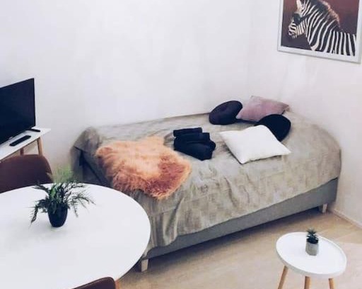 Vantaa Apartment | Pet-Friendly New Studio Zebra: Close to Airport & Family Fun