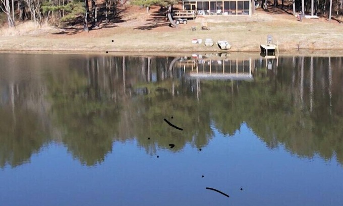 Batesville Cabin | Experience a Cozy Cabin on 120 Acres with Lake Views