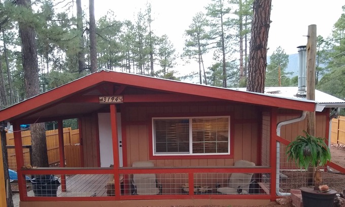 Pine Cabin | Newly Remodeled Cabin in the Pines with Firepit & Kitchen