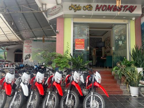 Ha Giang House | Discover Ngan Ha Homestay: Pet-Friendly & Family-Oriented