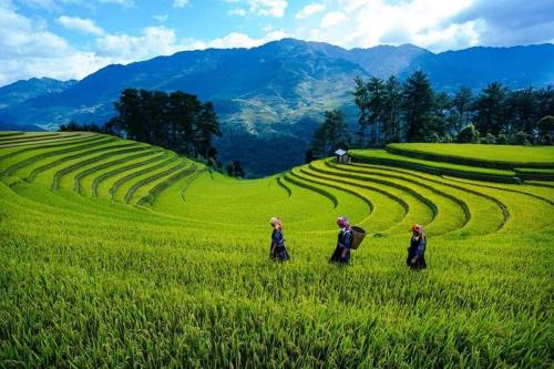 Mu Cang Chai House | Cozy Nhà nghỉ Phú Lý: Breakfast Included & Family-Friendly