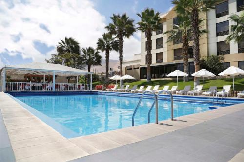 Iquique Hotel | Oceanfront Comfort at NH Iquique Costa – 4-Star Retreat
