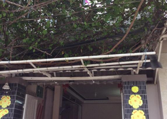 Phan Rang House | Pet-Friendly Nhu Y Guesthouse with Ocean Views Await