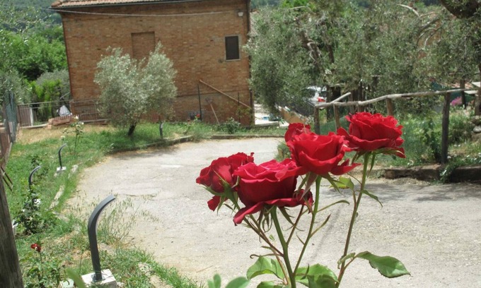 Chiusi Apartment | Peaceful Apartment Steps from Historic Center with Ocean Views
