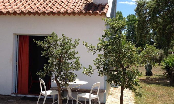 Santiago do Cacem Cottage | Cozy Studio with Pool Access Near Countryside and Beach