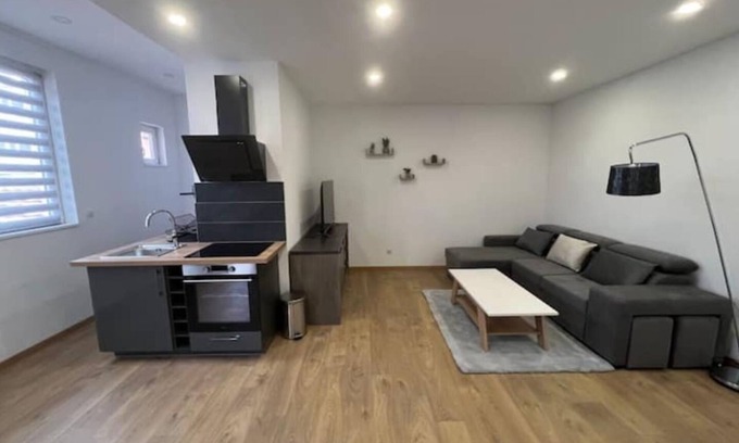 Delle Apartment | Stylish Renovated Studio with Pet-Friendly Amenities
