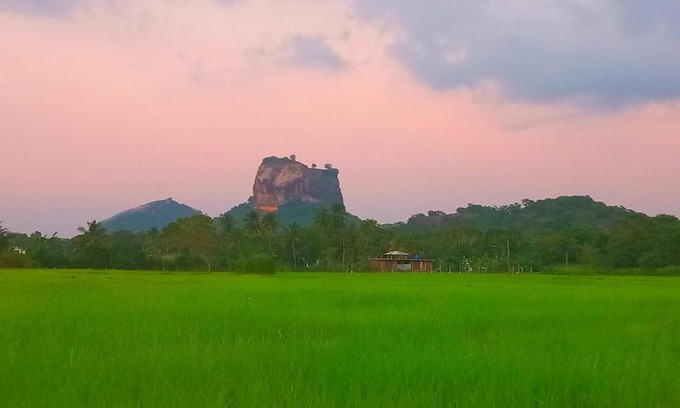 Sigiriya Cabin | Scenic Nice View Lodge: Guest Rated 9.7, Pet Friendly & Spa
