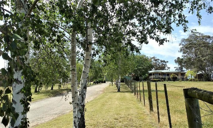Nicholson Bed & Breakfast | Guest Rated 9/10 at Nicholson BnB and Arts Centre