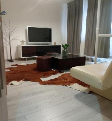 Ocna Mures Apartment | Pet-Friendly Apartments in Romania - Rated 9.7/10 by Guests