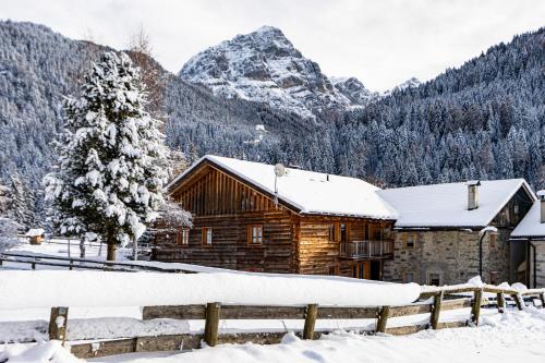Casetti Apartment | Discover Nido del Brenta: Pet-Friendly Retreat with 9.7/10