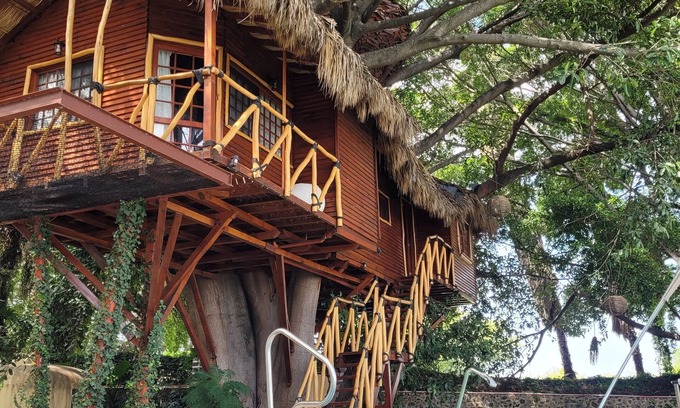 Tuxcueca House | Unique Nido Ecoluxury Treehouse with Spa & Breakfast