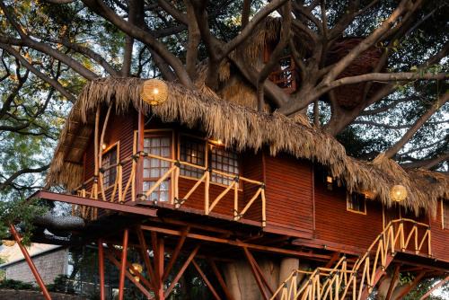 San Luis Soyatlan Cabin | Villa San Luis Boutique - Nido: Oceanfront Pet-Friendly Retreat