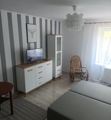 Opole Apartment | Family-Friendly Retreat at Niemodlińska 11 m 2