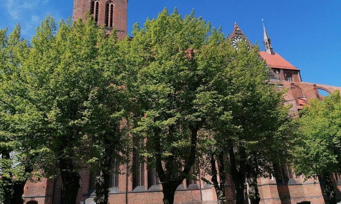 Wismar Apartment | Barrier-Free Family Stay in Historic NikolaiTraum