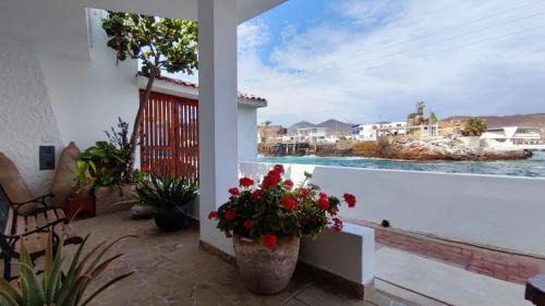 Pucusana House | Ninfas 371