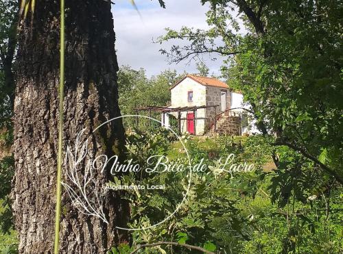 Covas House | Discover Ninho Bico-de-Lacre: Oceanfront Paradise Awaits