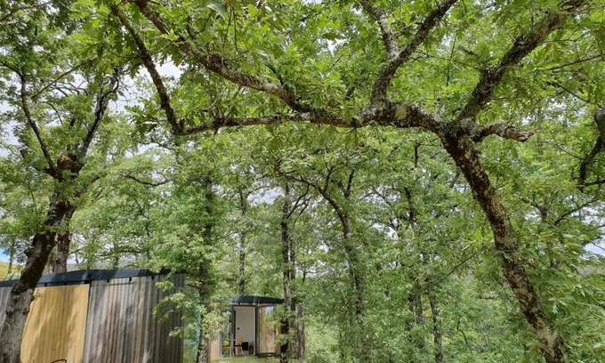 Montalegre Cabin | Discover Ninho da Avó Selvagem: Guest Rated 8.6/10