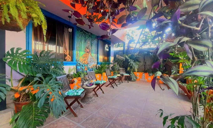 Cacique Apartment | Pet-Friendly Nirvana Apartament Hostal with Ocean View