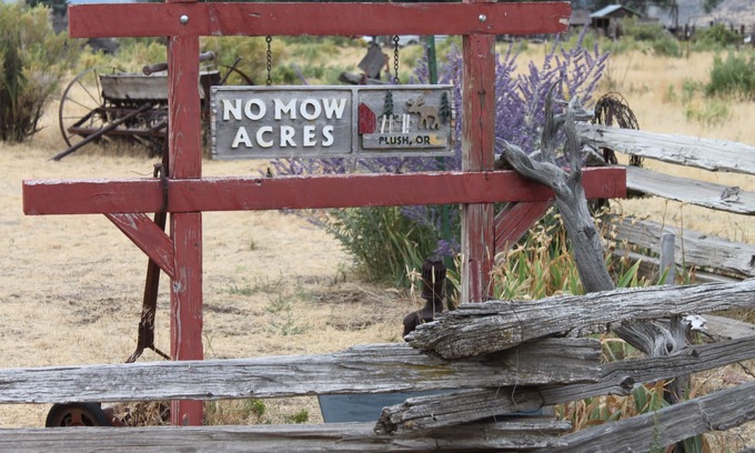 Plush House | Discover No Mow Acres in the Oregon High Desert - 9.4 Rated