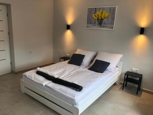 Spytkowice House | Family-Friendly Stay Near Energylandia in Bachowice