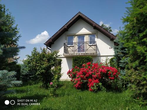 Solec-Zdroj House | Pet-Friendly Noclegi Małgorzatka: Family and Kitchen Amenities