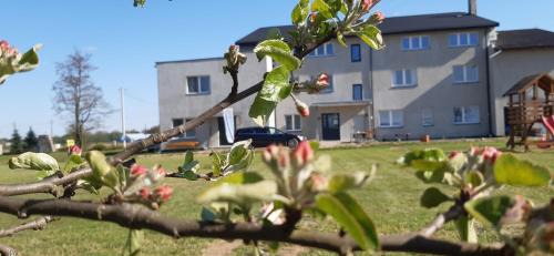 Goniadz Bed & Breakfast | Delightful Stara Szkoła: Pet-Friendly Retreat by Biebrza