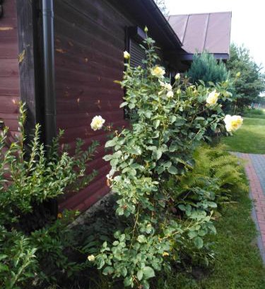 gmina Tuczna House | Cozy Noclegi przy kominku: Pet & Child Friendly Retreat