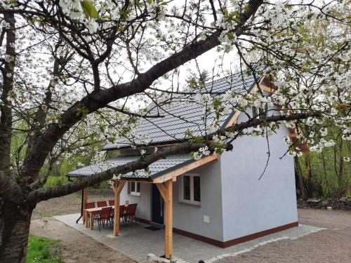 Janowice Wielkie House | Pet-Friendly Retreat at Noclegi Różanka - Rated 9.7/10